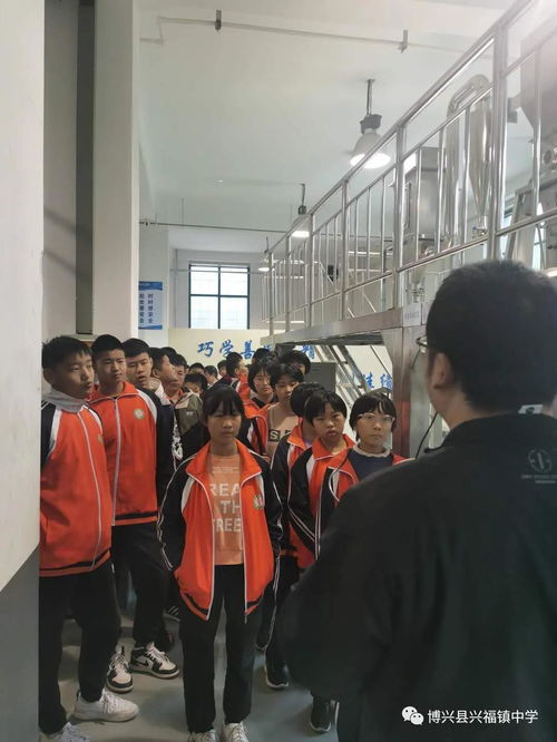 強化實踐育人意識,完善實踐教學(xué)體系 興福鎮(zhèn)中學(xué)初二學(xué)生社會實踐活動紀(jì)實